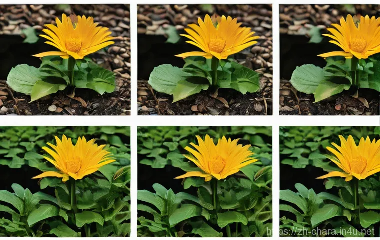 캐릭터디자인 직무에서의 협업 환경 구축 방법 - Here are three detailed image generation prompts in English for Stable Diffusion, crafted to reflect...